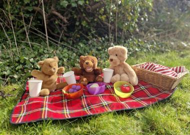 Teddy Bears’ Picnic with Aisling Smith