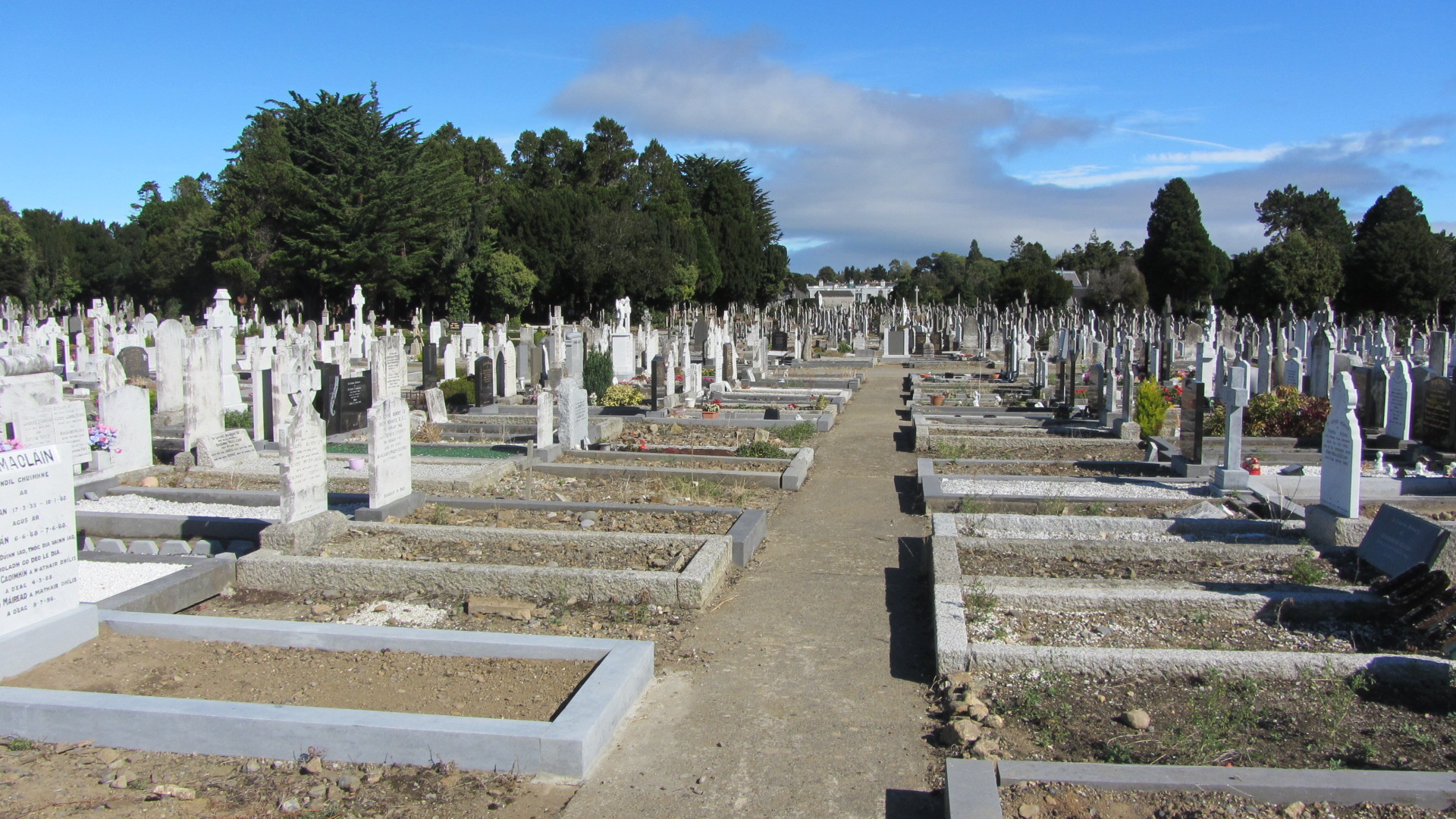 Deansgrange Cemetery 5 