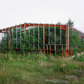 photo by Conor Horgan. Title, flag no 166. Unfinished steel building frame with wild plants growing inside.
