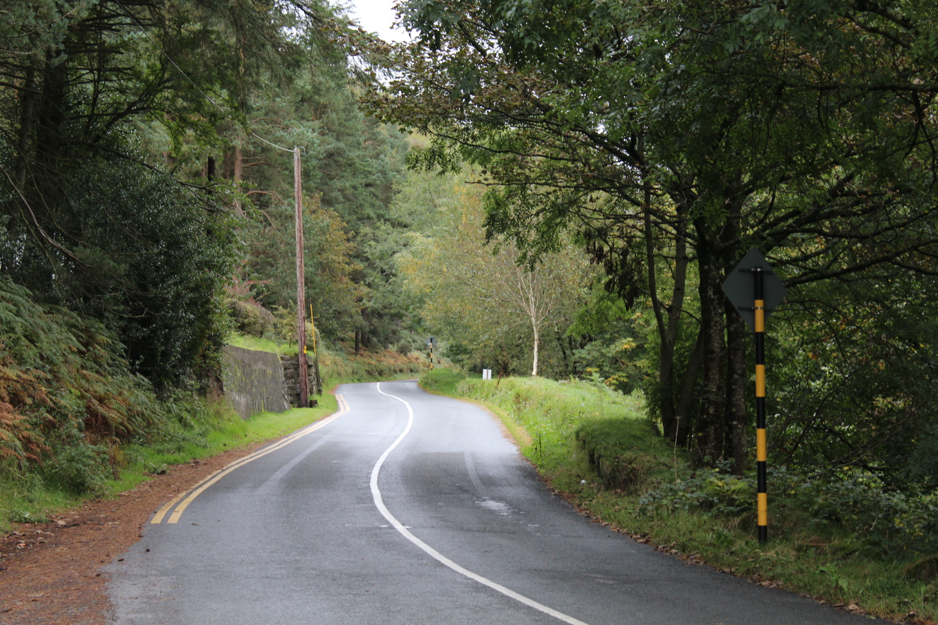 Tibradden Wood Tibradden Wood