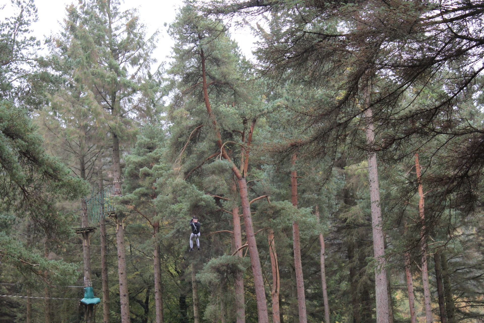 Tibradden Wood Tibradden Wood