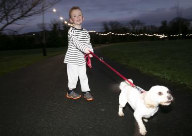Cabinteely Park Illuminated Walk