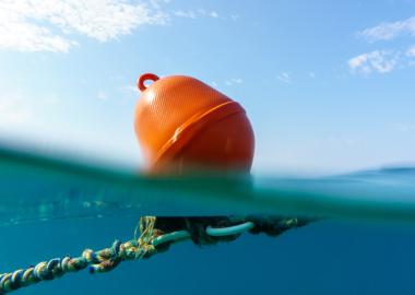 Swimming Marker Buoys 