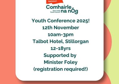 dlr Comhairle na nÓg Annual Youth Conference Poster