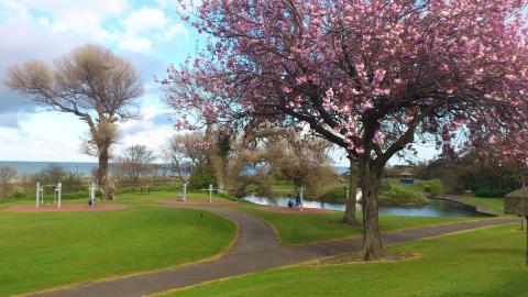 Blackrock Park