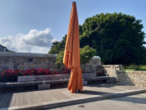 Performance Space Dún Laoghaire People's Park