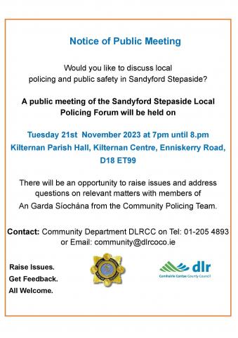 DRAFT Public meeting notice Sandyford Stepaside