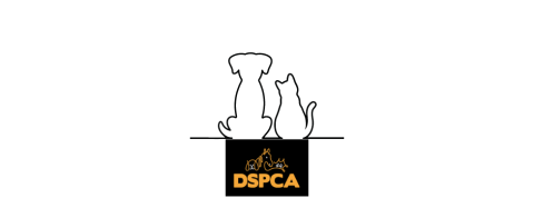 DSPCA