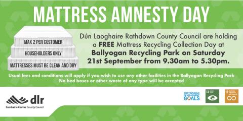 Mattress Amnesty Day 24