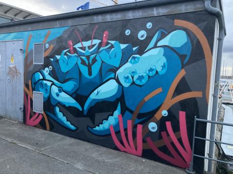 DL Marina - Dan Leo - DLR Anseo Street Art 2024