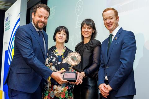 Sustainable Energy Authority of Ireland (SEAI) 2024 Award