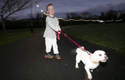 Cabinteely Park Illuminated Walk