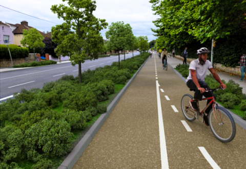 A scenic bike path winding through a park, surrounded by lush green grass and tall trees.