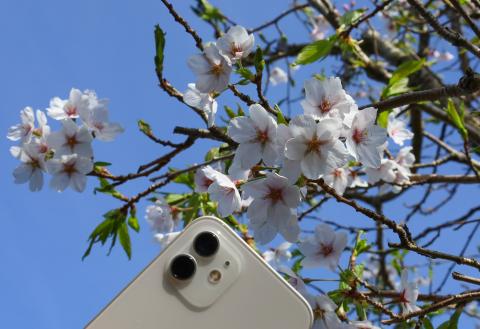 Smartphone Photography for Older People with Doreen Kennedy