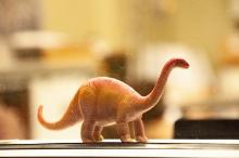 Dinosaur Family Day
