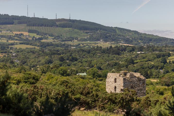 Pucks Castle at Rachmichael Wood