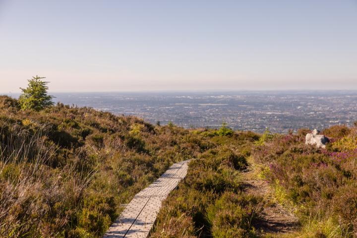 Walking trails at Tibradden Wood