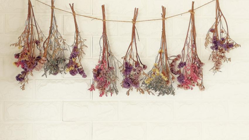 Dried Flowers