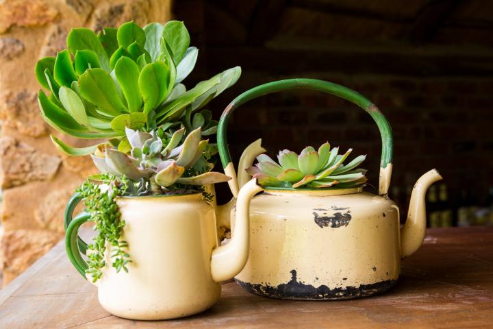 Upcycle Pots